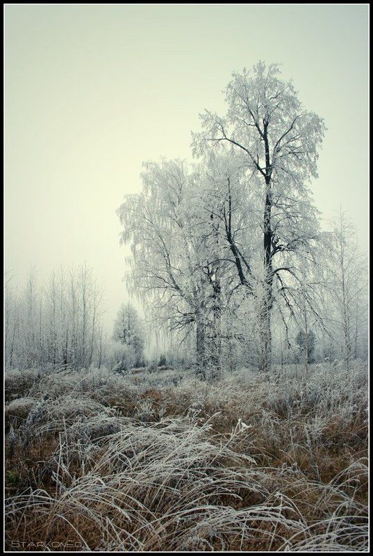 Ещё про осень... фото превью