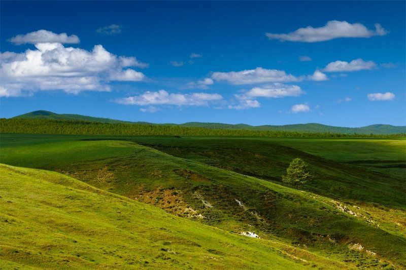 байкал, остров ольхон, одинокое дерево дерево шамана фото превью