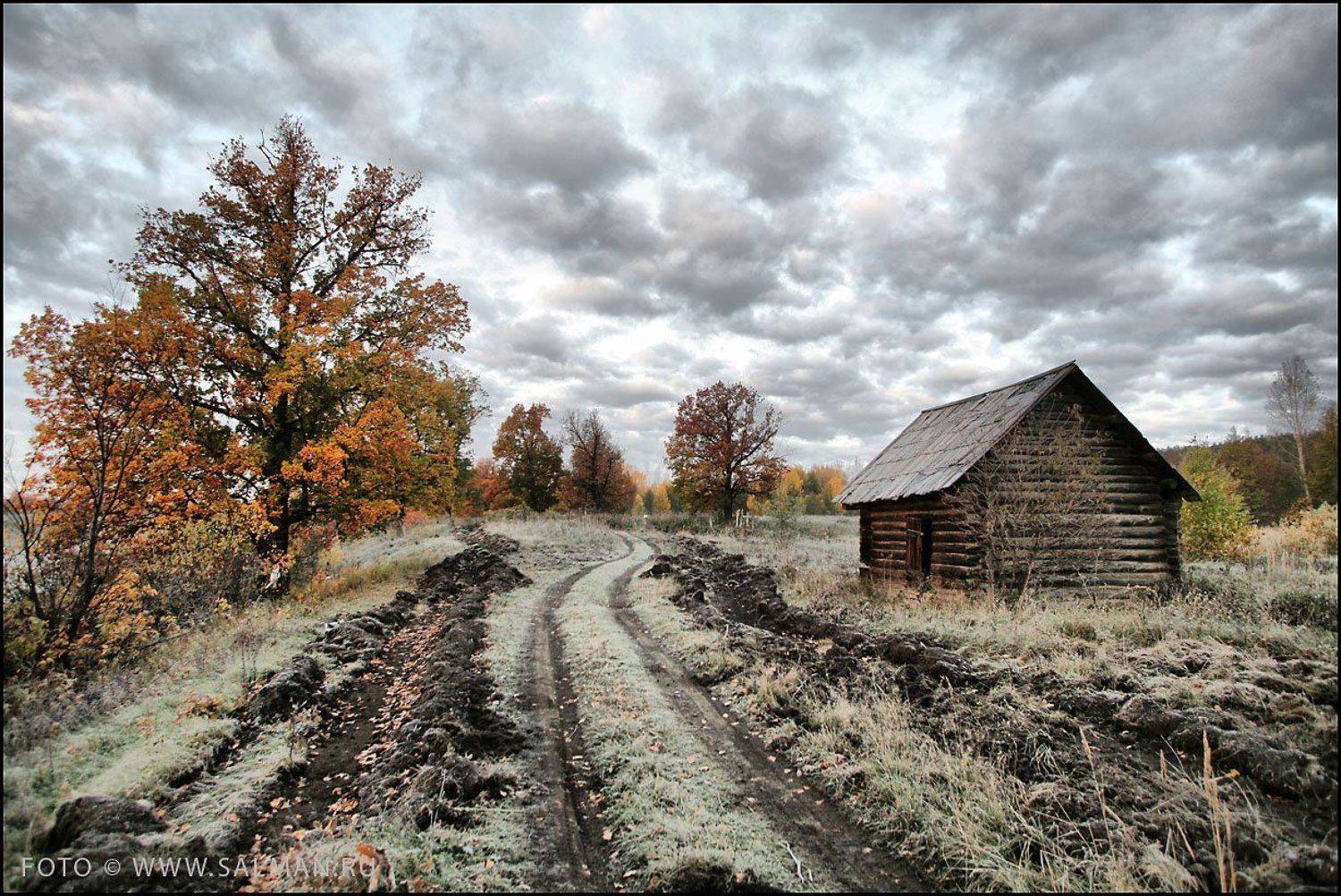 осень,соколки,, salman