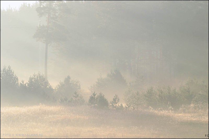 осень,дымка, дымка, фото превью