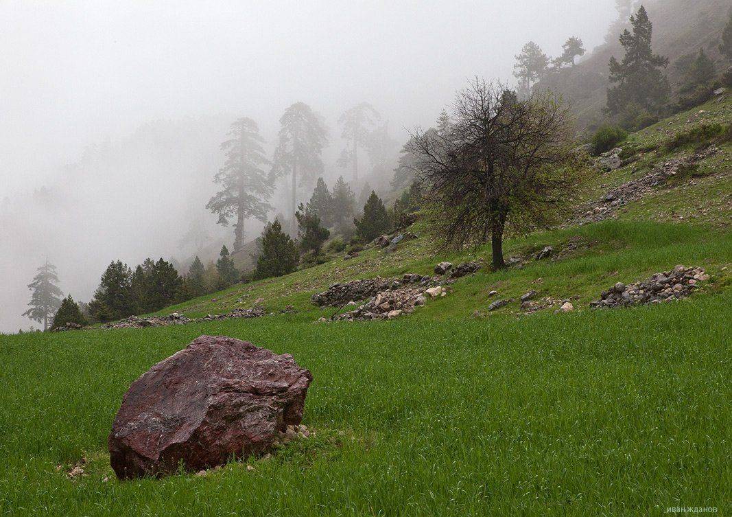 горы, туман, май, Иван Жданов