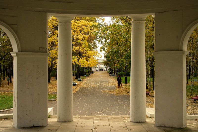 осень Осенне-симметричная фото превью