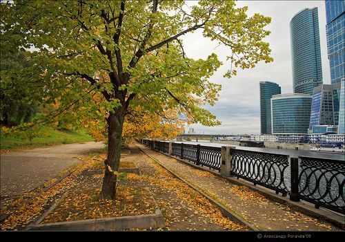 Осень в большом городе.