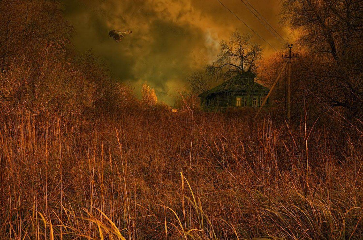 , Алпатов Игорь