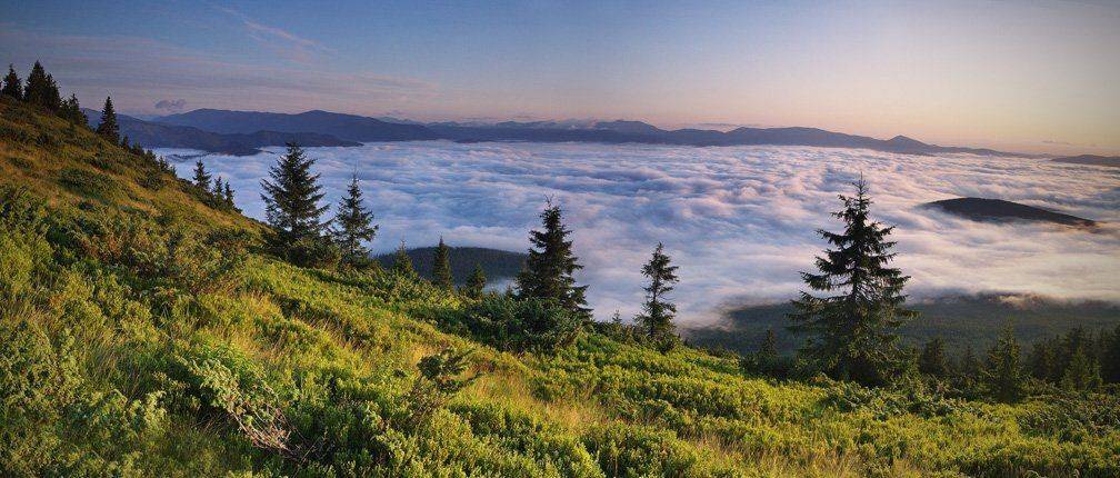 карпаты, природа, пейзаж, горы, панорама, Piligrim