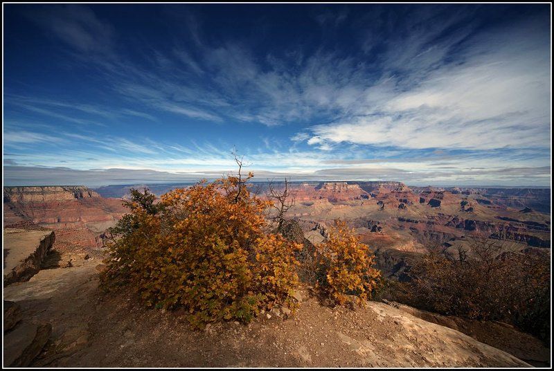 Осень фото превью