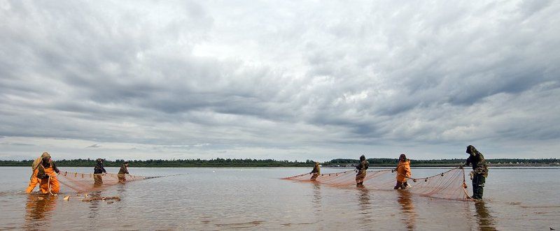 жизнь на краю земли, жанр, ненцы, путешествия, север из жизни рыбаков#8 фото превью