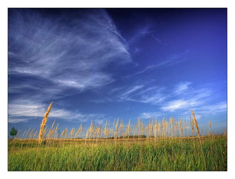 осень В начале сентября фото превью