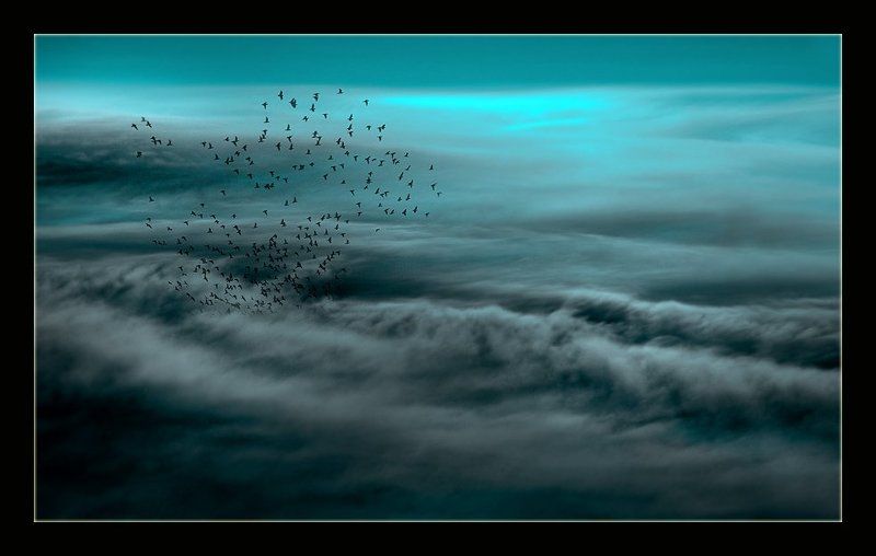 *** И дышать Ею буду век .. *** фото превью