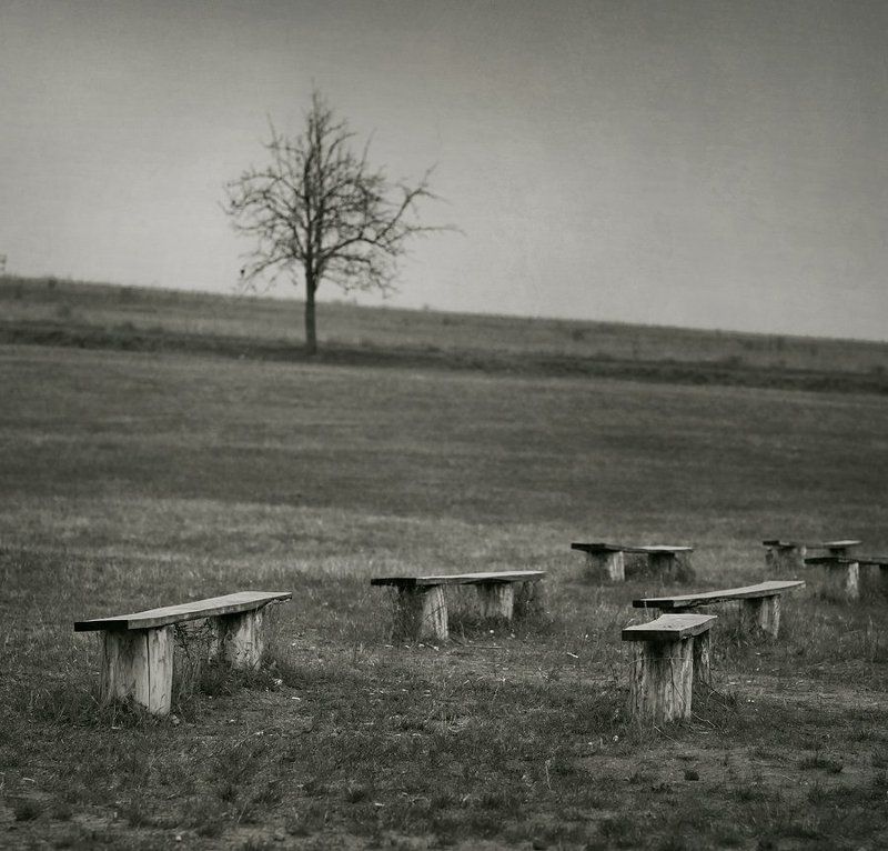 Зарисовки из Пирогово....... фото превью