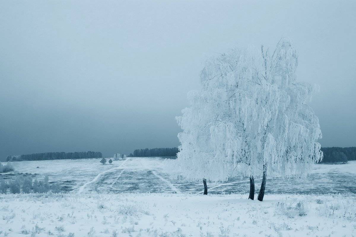 , Николай Морский