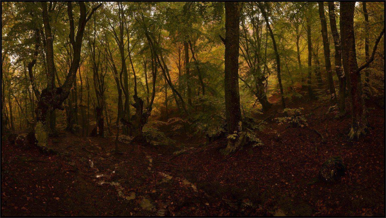 , Владимир Метцгер