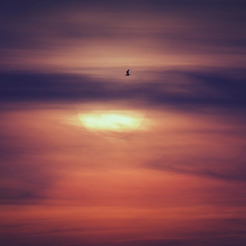 lonely flight фото превью