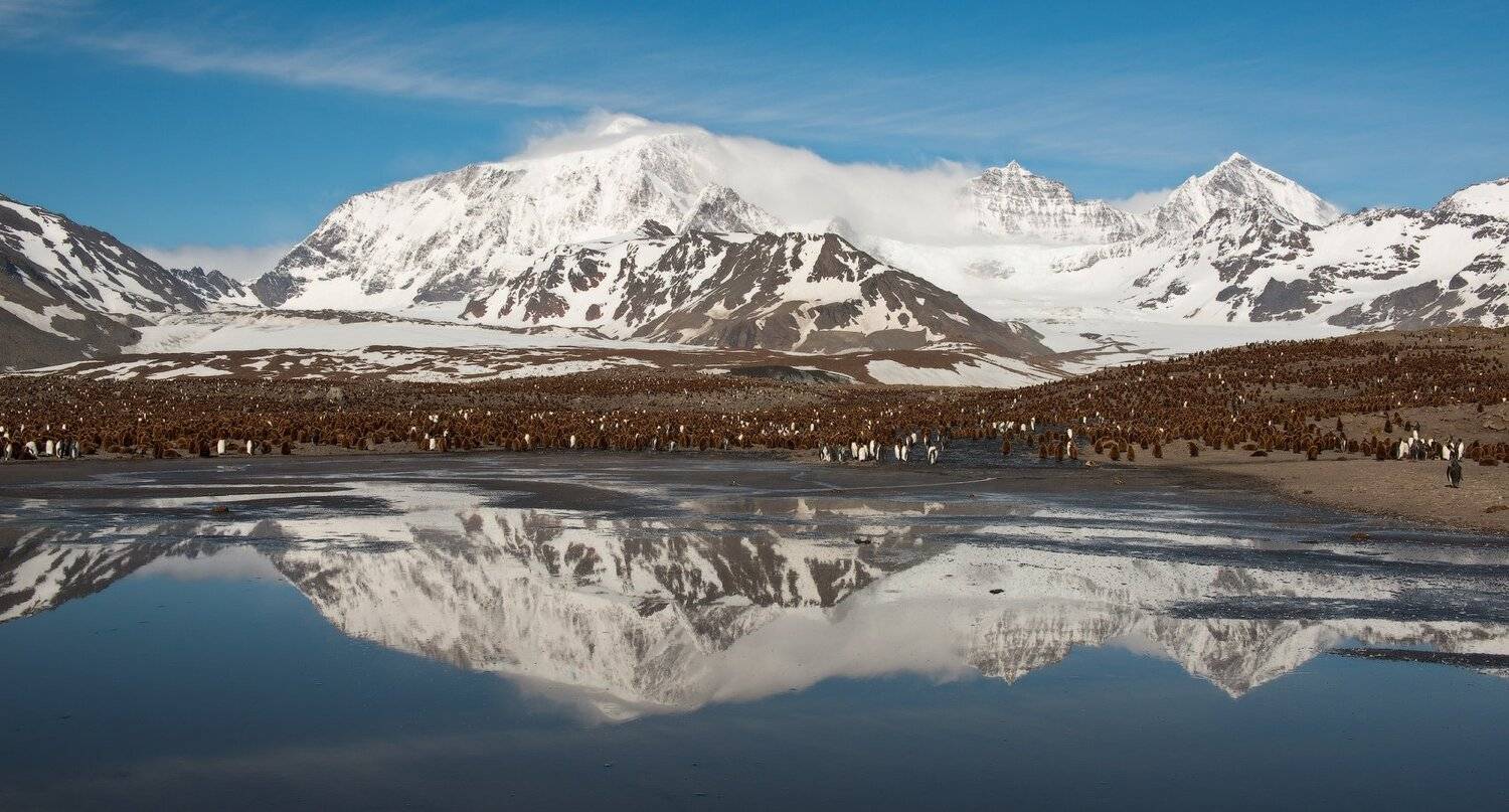 , Андрей Ведерников