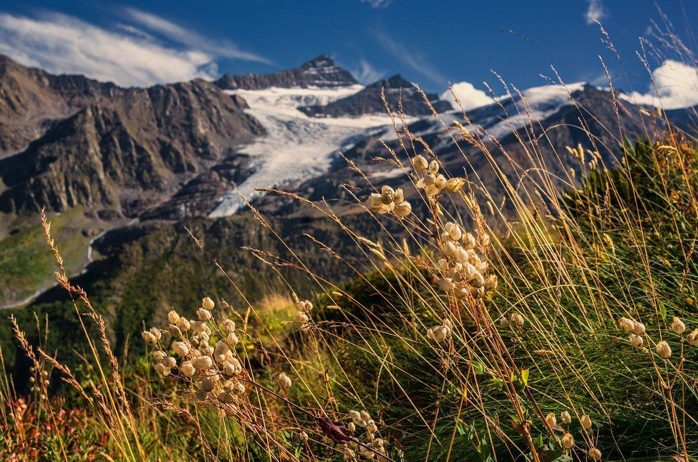 , Игорь Мелекесцев