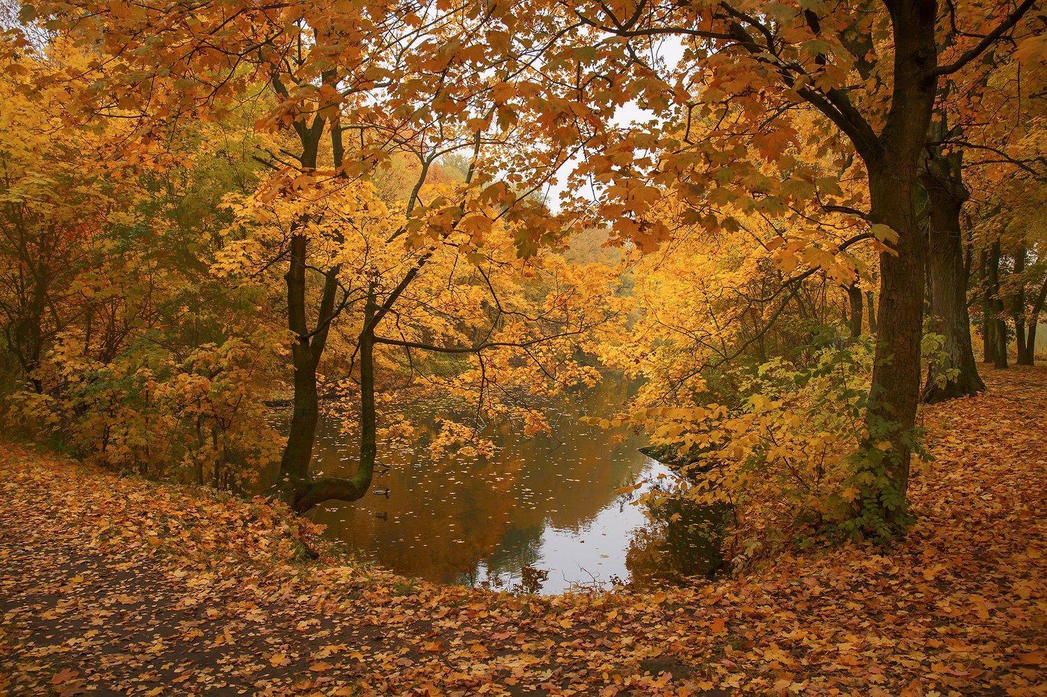 , Владимир Князев