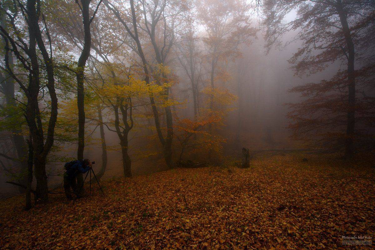 , Victor Lebed