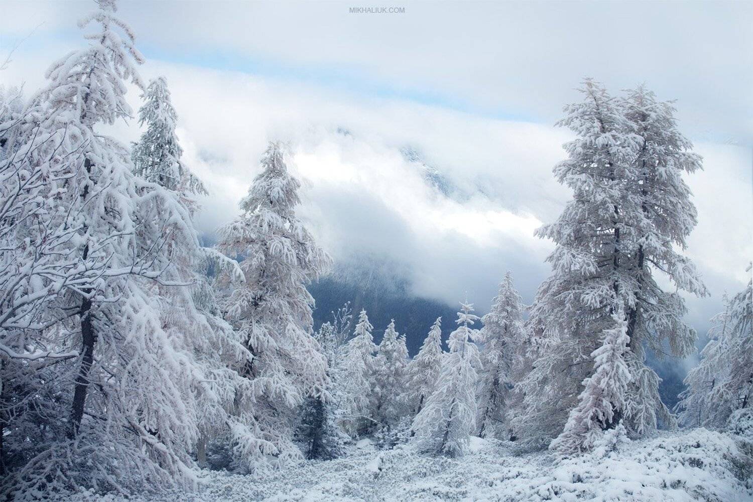 , Михалюк Сергей.