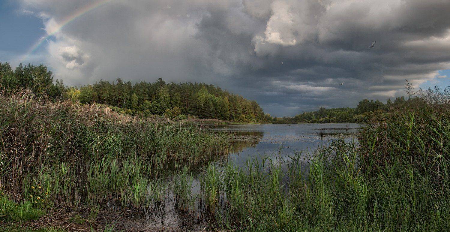бугрово, псковская область, август, Андрей Леонидович