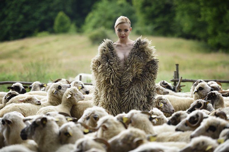 One фото превью