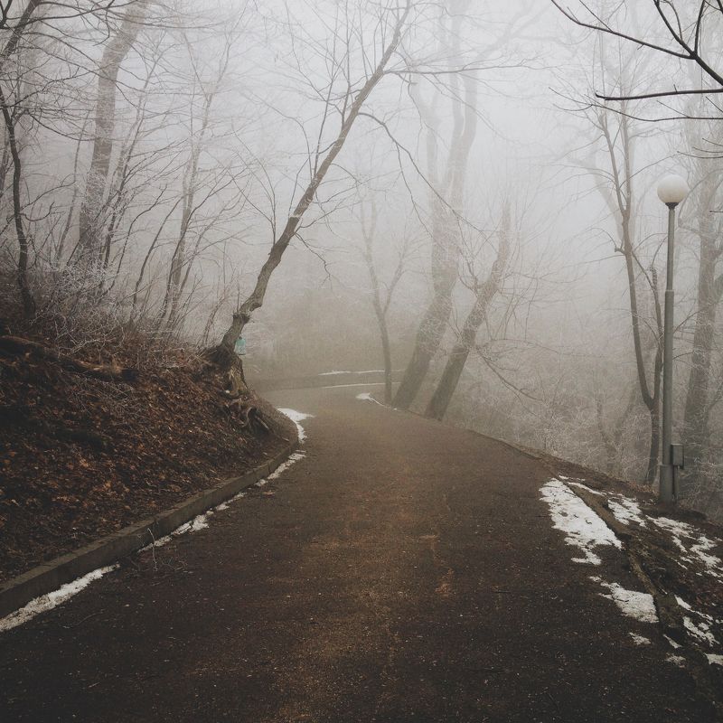 мобильная, фотография, mobile, photography Мобильная фотография  ч.11 фото превью