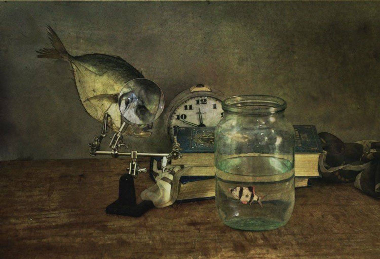 , Михаил Анисимов