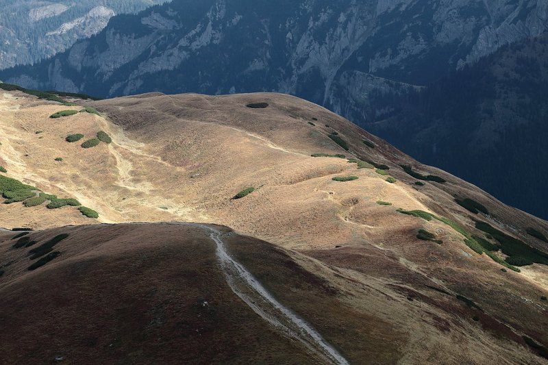 Ukojenie фото превью