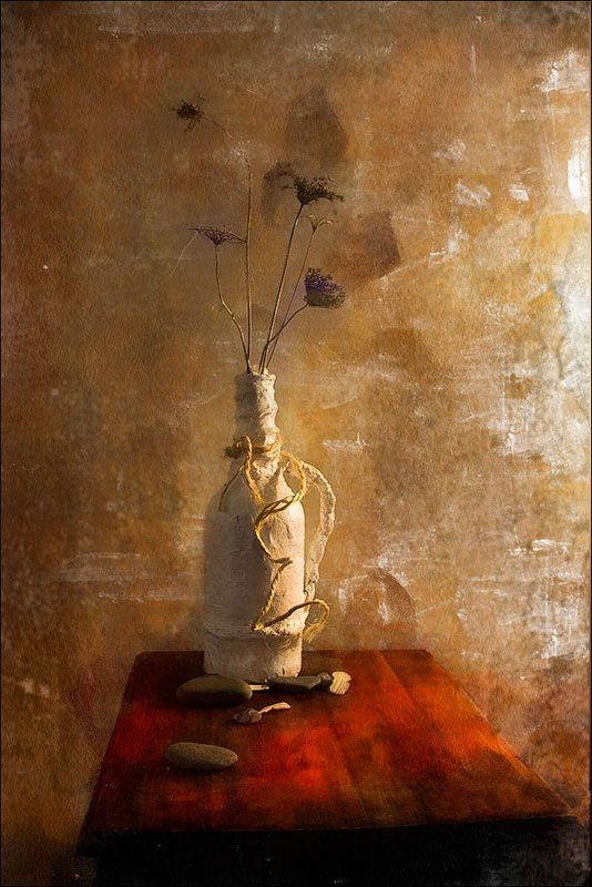 и на камнях растут деревья фото превью