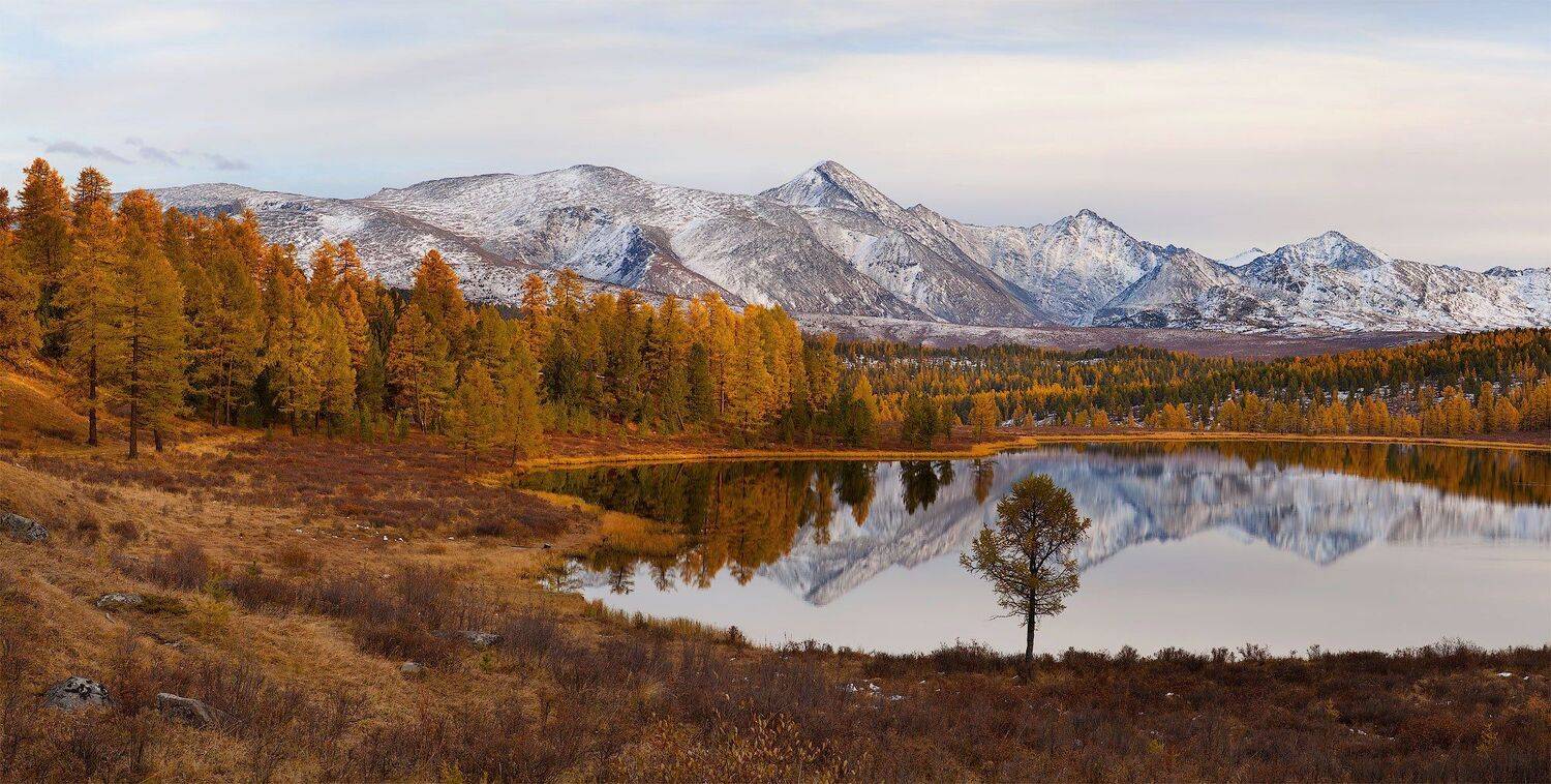 , Vladimir Kushnarev