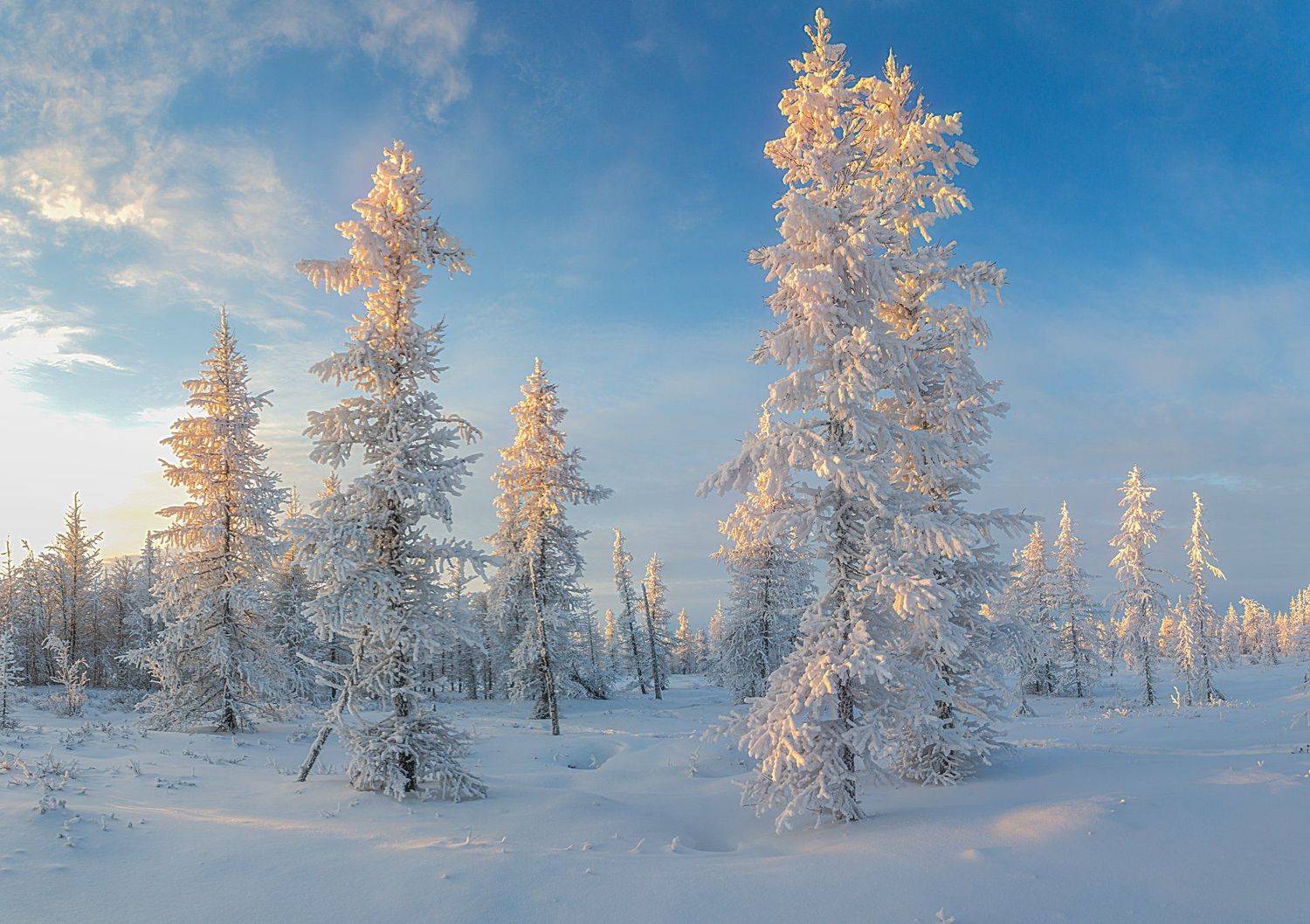 Закат, Зима, Ноябрь, Осень, Снег, Уренгой, Янао, Pavel  Evgrafov