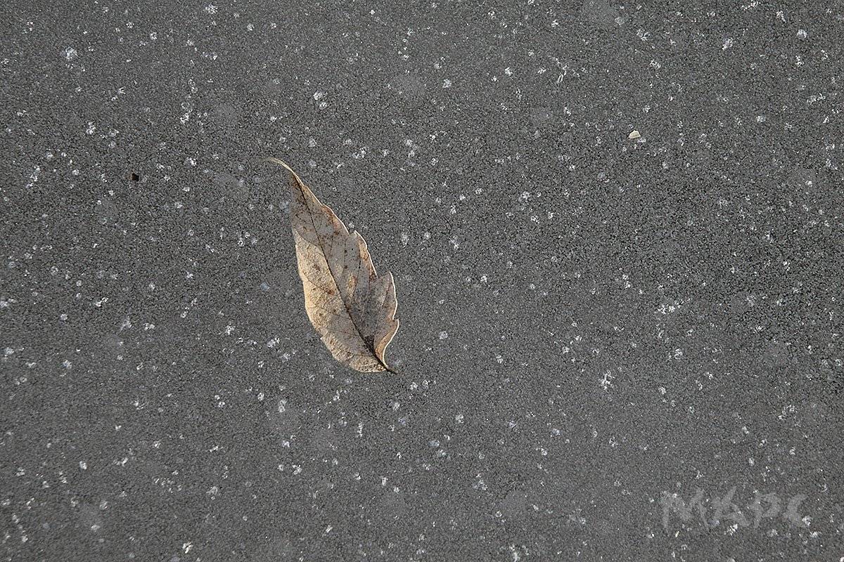 , Шангареев Марс