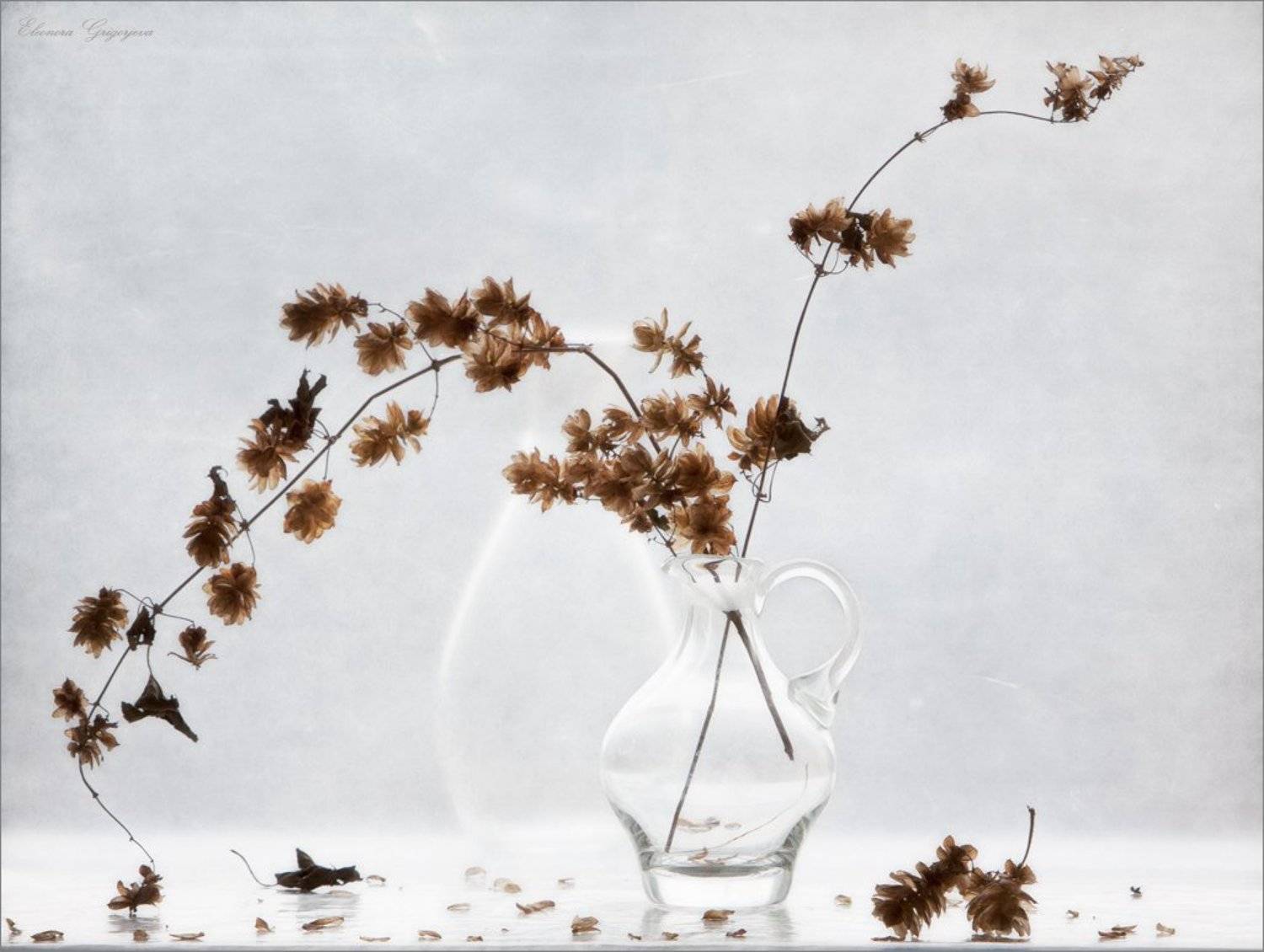 Натюрморт, Стекло, Шишки хмеля, Eleonora Grigorjeva