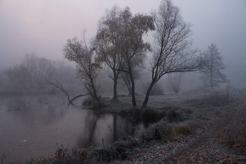 . . . фото превью