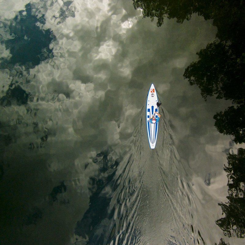 быть птицей фото превью