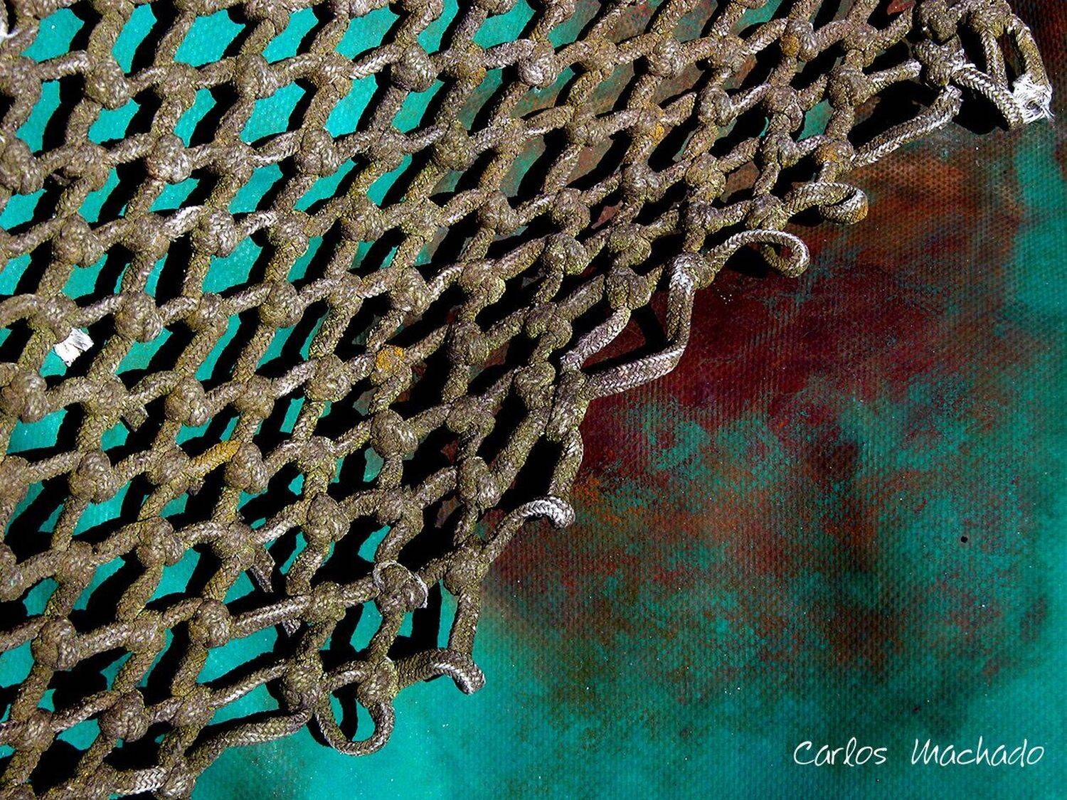 Macro, Urban, Still Life, Carlos Machado