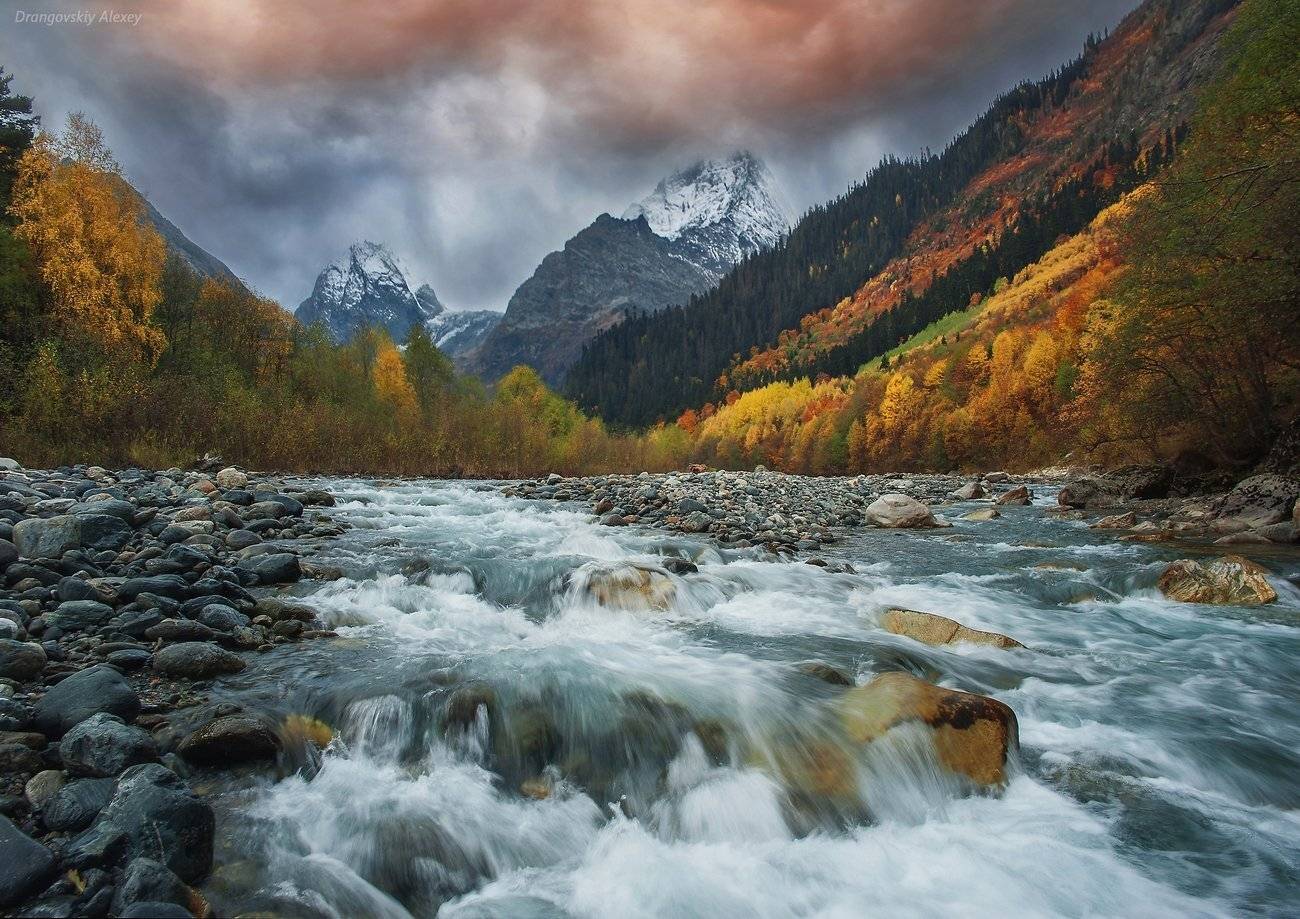 , Алексей Дранговский