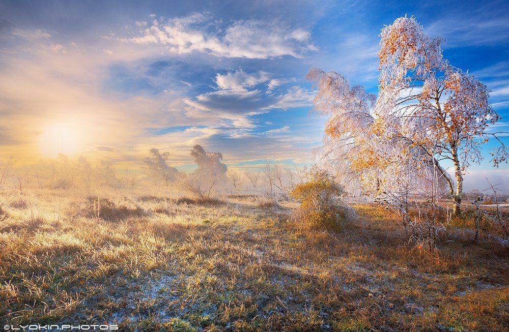 Азербайджан, Заповедник, Мороз, Осень, Рассвет, Утро, Lyokin