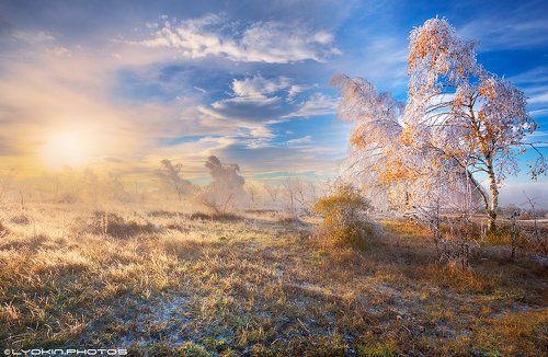 Заморозить Осень