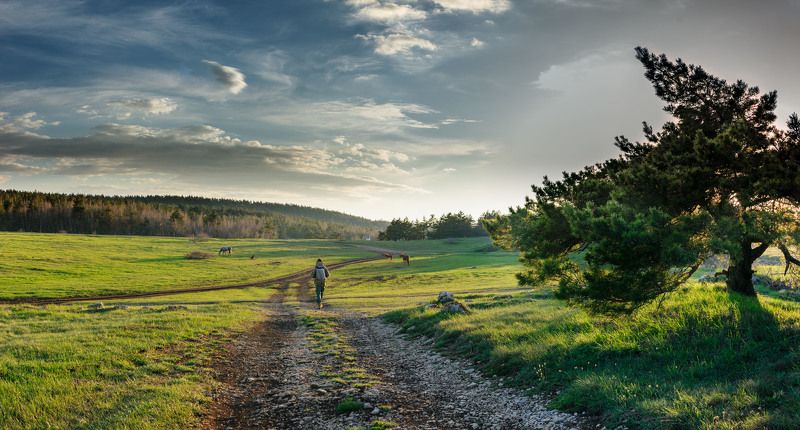 photos for trial фото превью