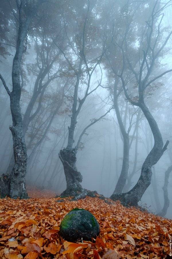 демерджи, демерджи-яйла, крым, осень, туман, Олег Логунов