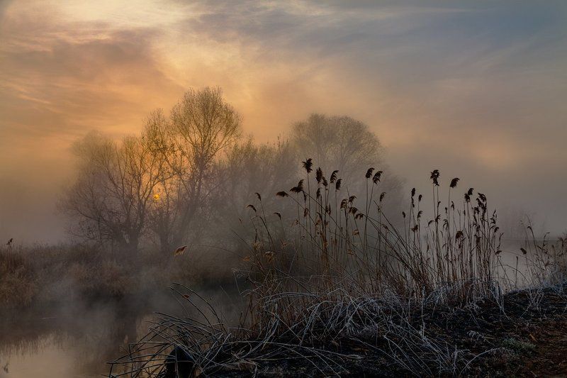 Ноябрь. Восход. Туман фото превью