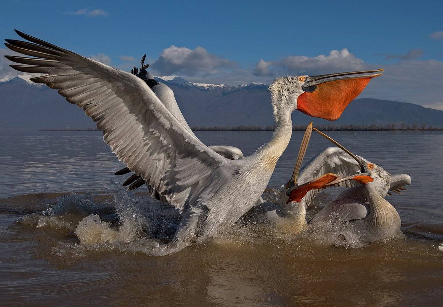 , Сергей Златков