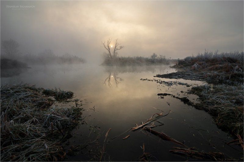 утро, туман, река, солнце, дерево, отражения, рассвет, мистика, сказка, волшебство Туман на реке фото превью
