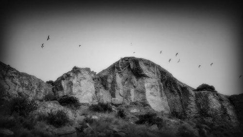 Пролетают...