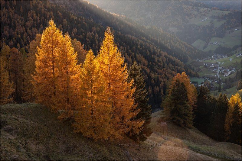 италия, доломиты, альпы, осень, italy, dolomites Color of The Dolomites. фото превью