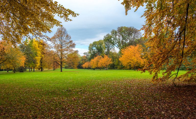 Девевья, Листва, Листья, Небо, Осень, Парк, Природа Осенний Вальс.. фото превью