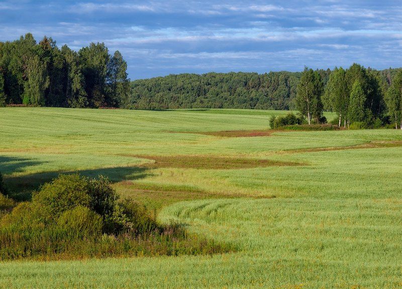 *** фото превью