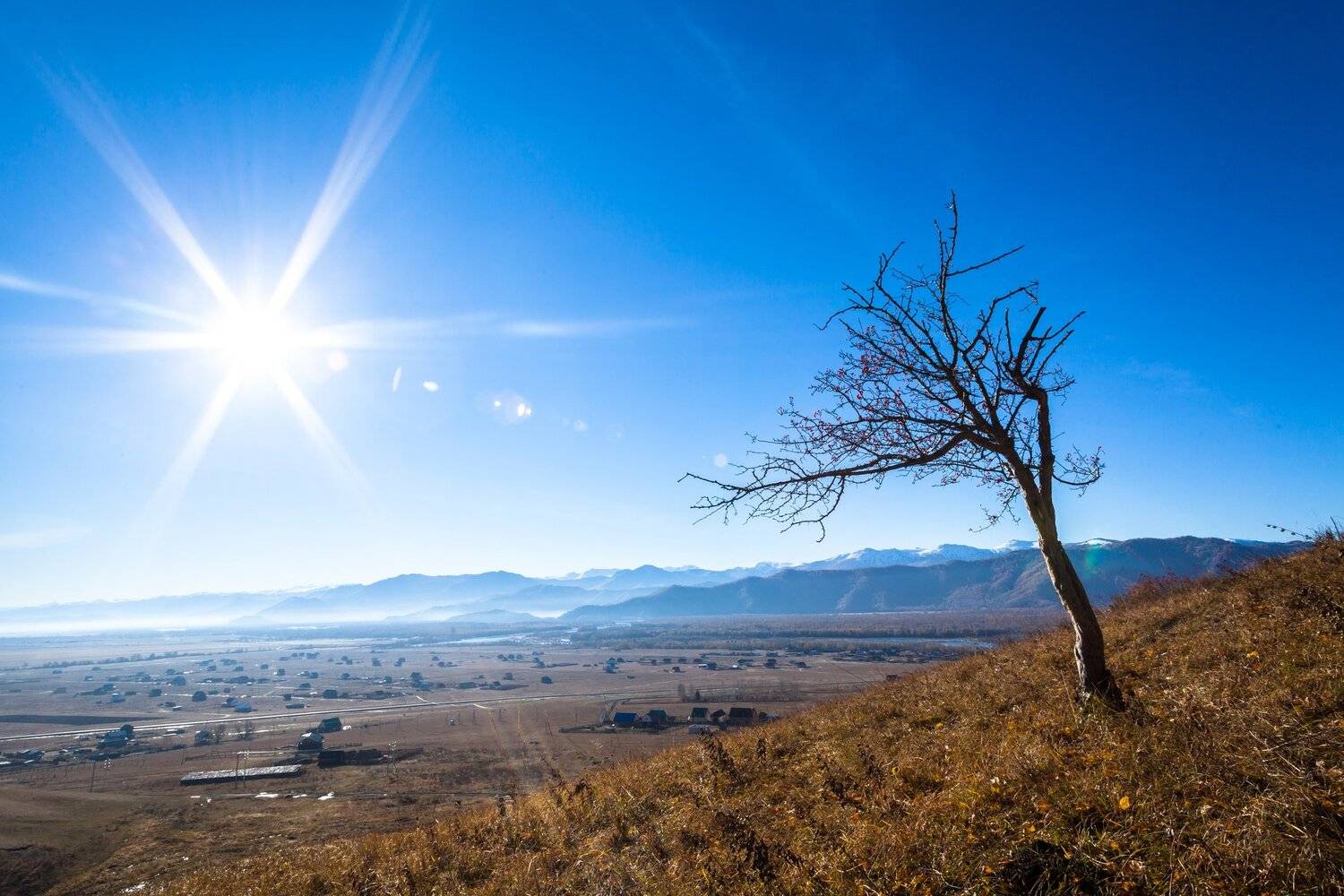 Солнце, Алтай, пейзаж, дерево, горы, долина, Россия, путешествие, Иван Губанов