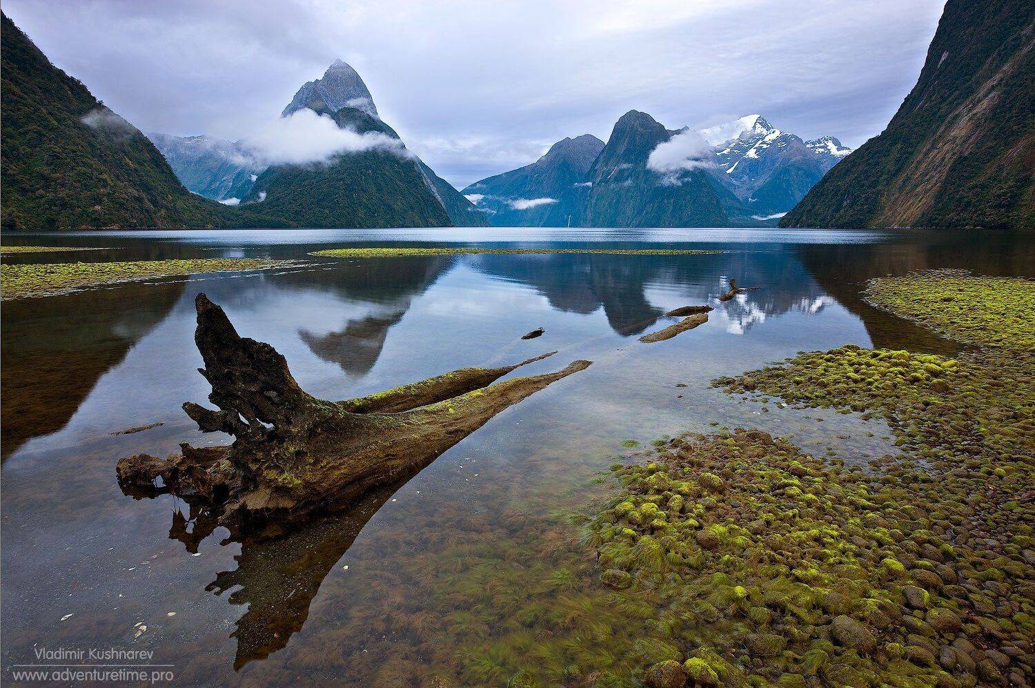 , Vladimir Kushnarev