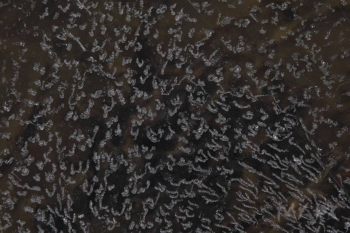 , Шангареев Марс